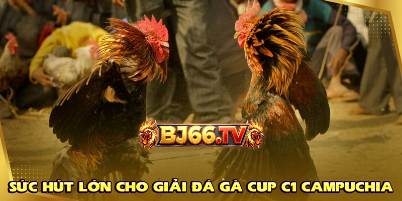 Giải Đấu Đá Gà CUP C1 Campuchia BJ66