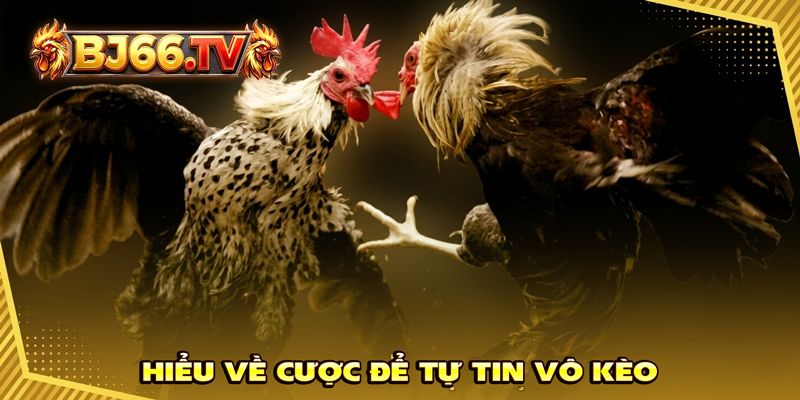 Cửa Cược Trường Gà Sabong BJ66