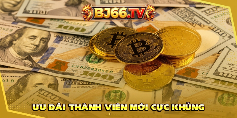 Khuyến mãi BH79 dành cho thành viên mới