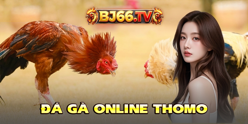Đá Gà Thomo BJ66