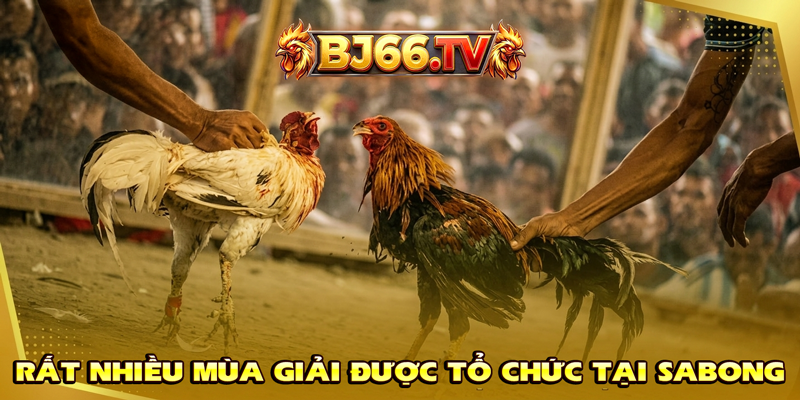 Đá Gà Sabong Trực Tiếp BJ66
