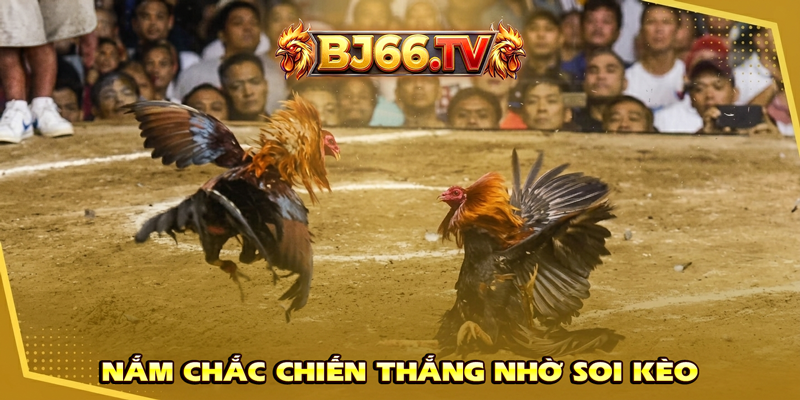 Kinh Nghiệm Soi Kèo Đá Gà CUP C1 Campuchia BJ66